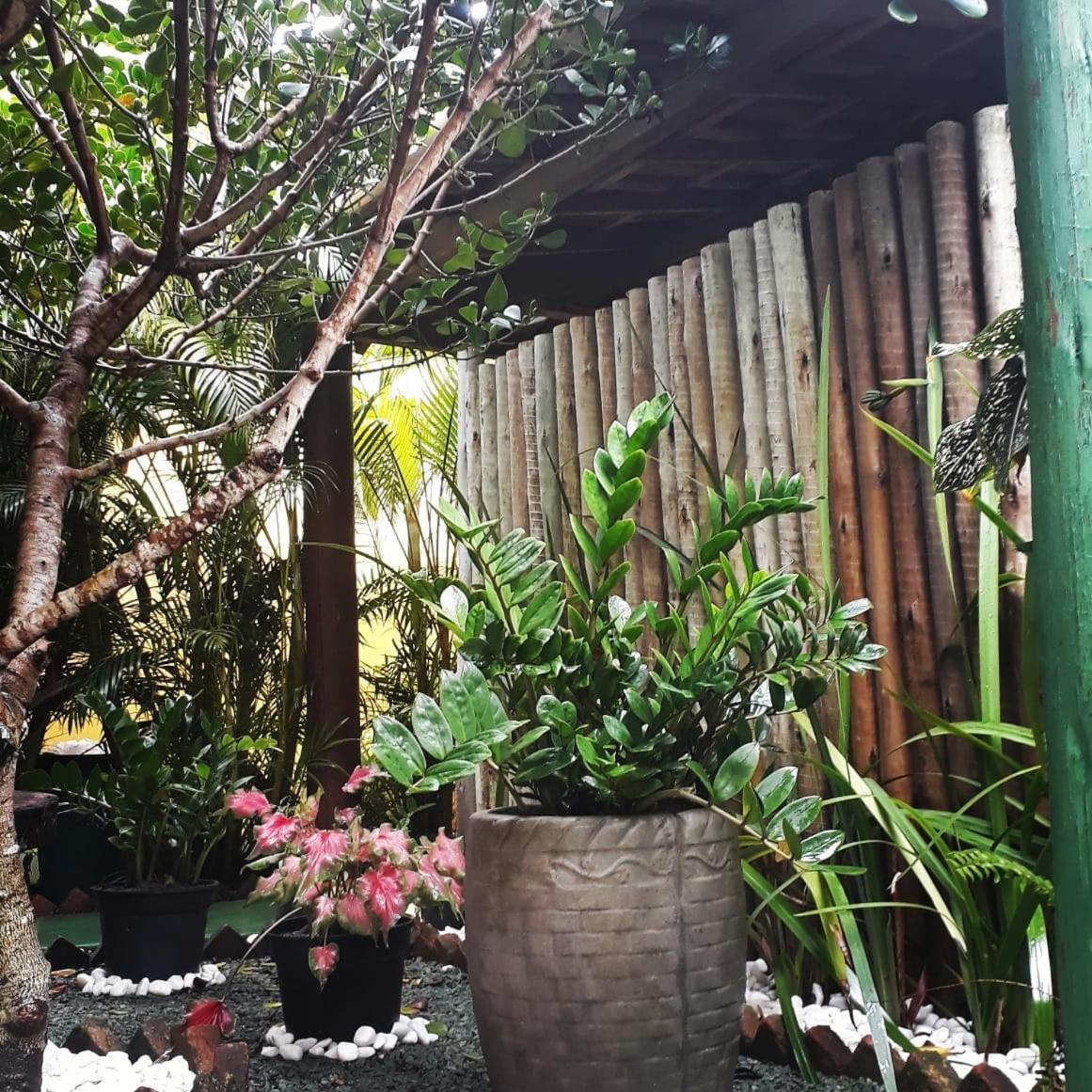 Pousada Corais Do Sul Карайва Экстерьер фото